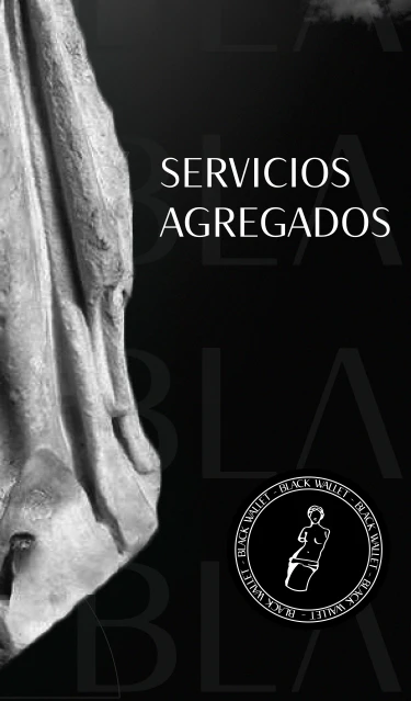 Servicios agregados